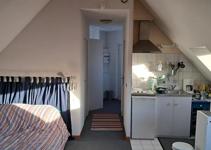 Daire Proche De La A Luc Sur *